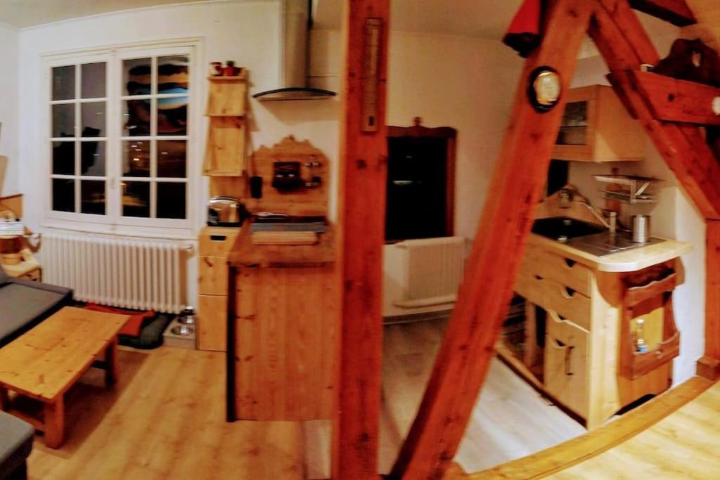 Mon Petit Appartement Montagnard Du Plateau Saint-Hilaire  エクステリア 写真